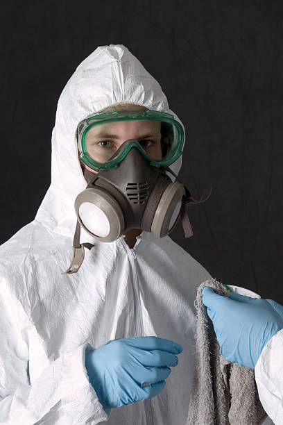 Professional Mold Removal in Norton, OH